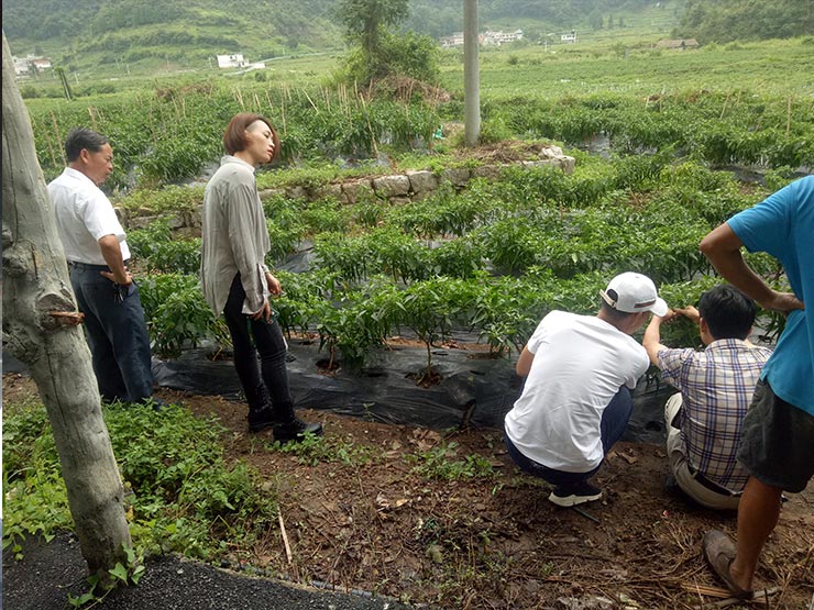 manbet官网-相信品牌力量
