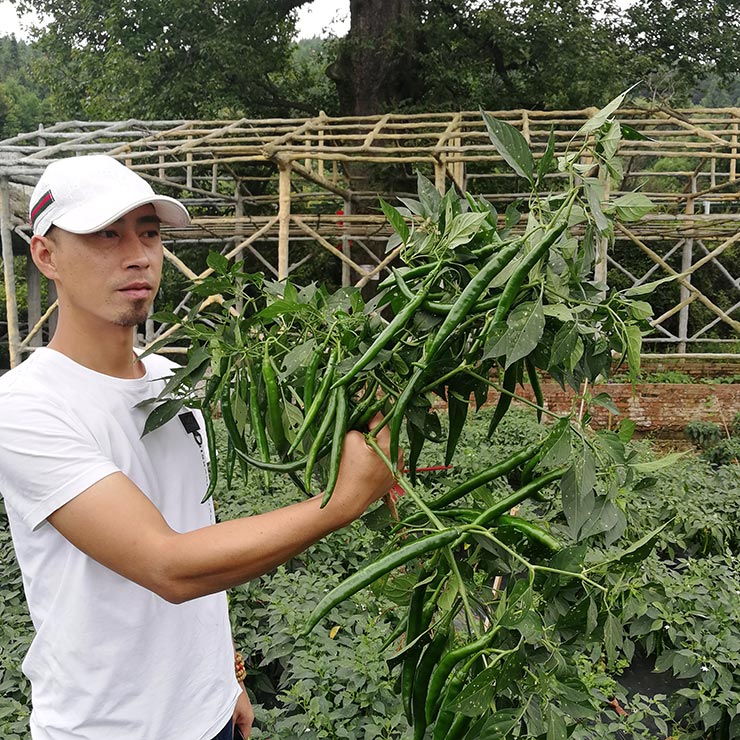 manbet官网-相信品牌力量