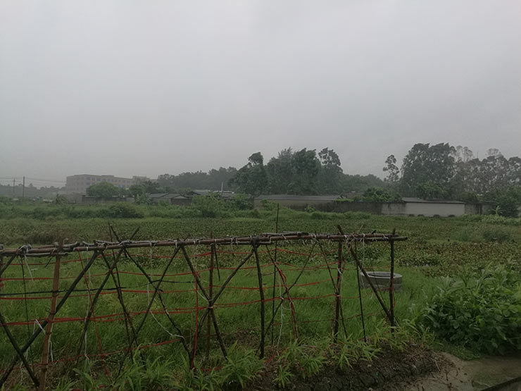 manbet官网-相信品牌力量