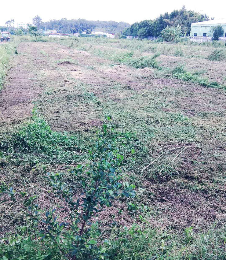 manbet官网-相信品牌力量