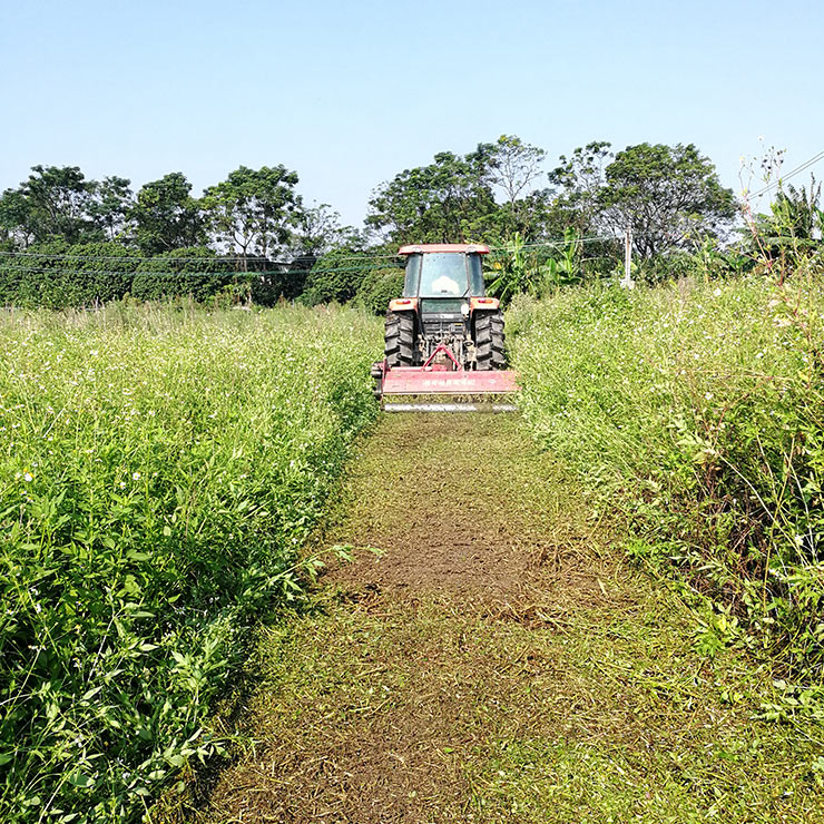 manbet官网-相信品牌力量