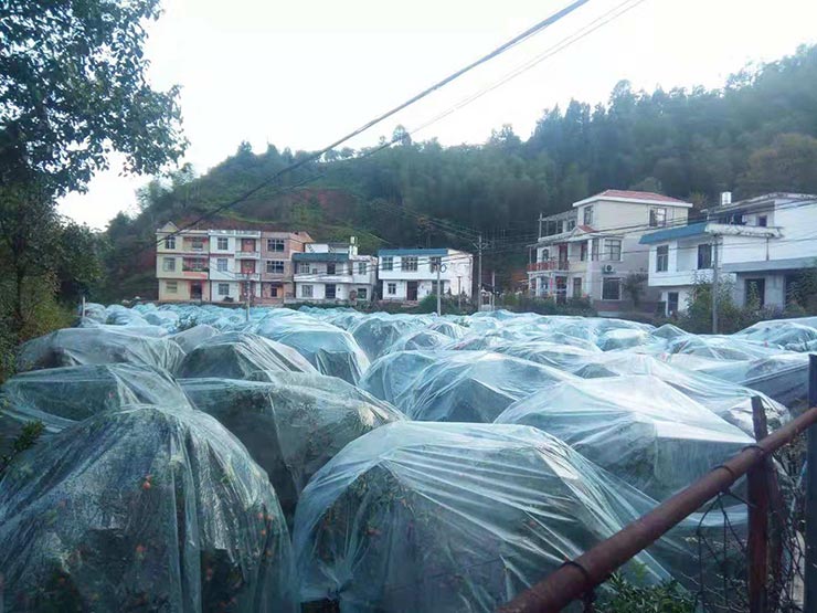 manbet官网-相信品牌力量