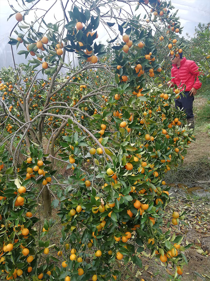 manbet官网-相信品牌力量