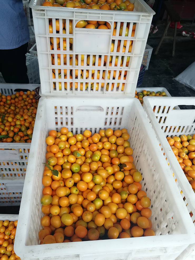 manbet官网-相信品牌力量