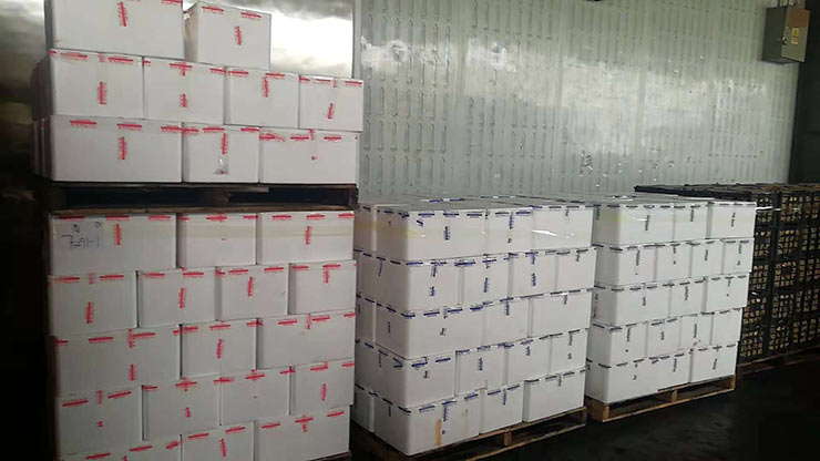 manbet官网-相信品牌力量