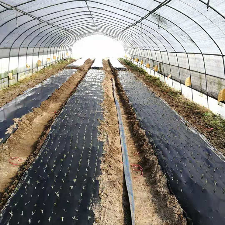 manbet官网-相信品牌力量