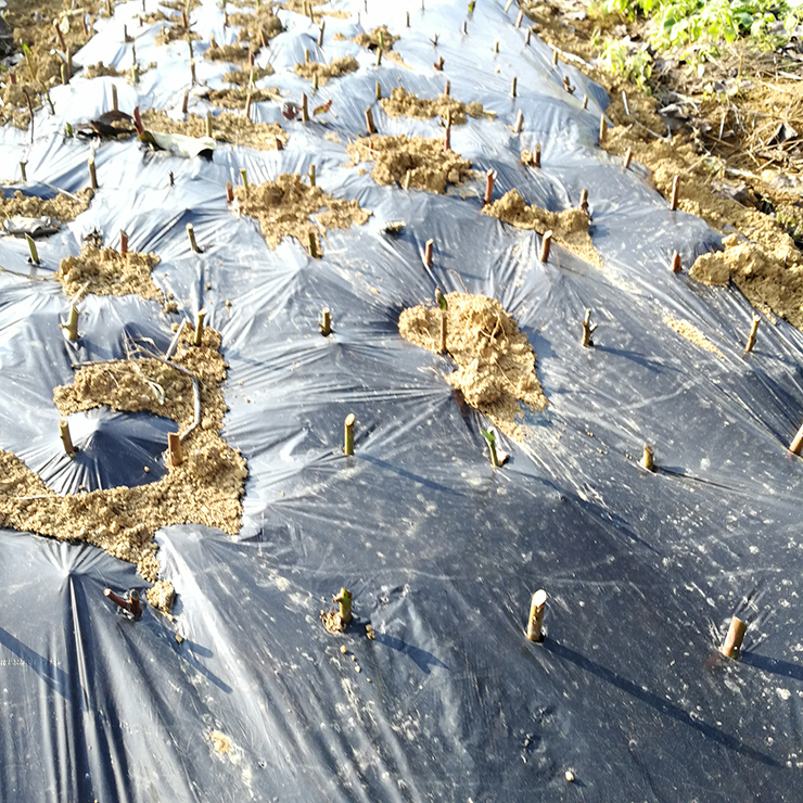 manbet官网-相信品牌力量