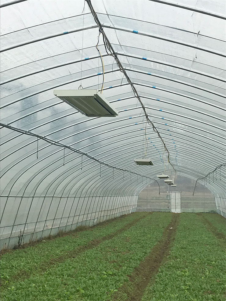 manbet官网-相信品牌力量