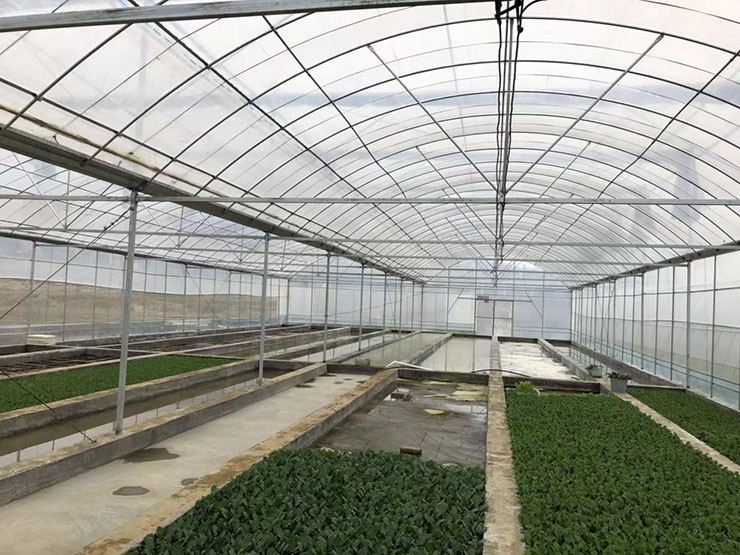 manbet官网-相信品牌力量