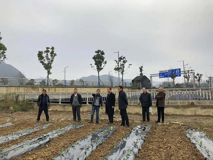 manbet官网-相信品牌力量