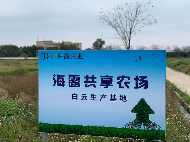 manbet官网-相信品牌力量