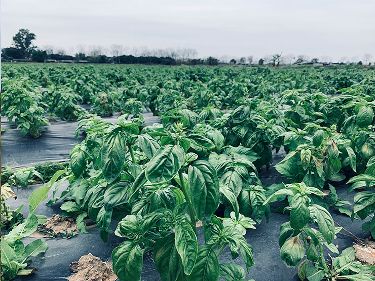 manbet官网-相信品牌力量