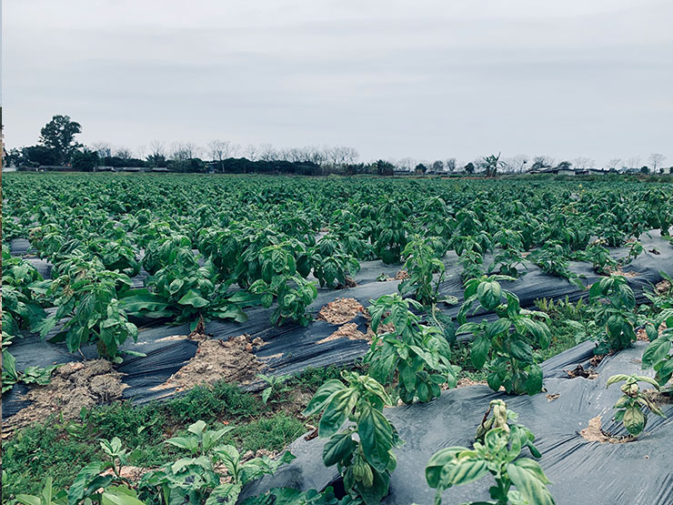 manbet官网-相信品牌力量