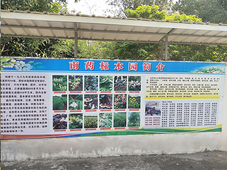 manbet官网-相信品牌力量