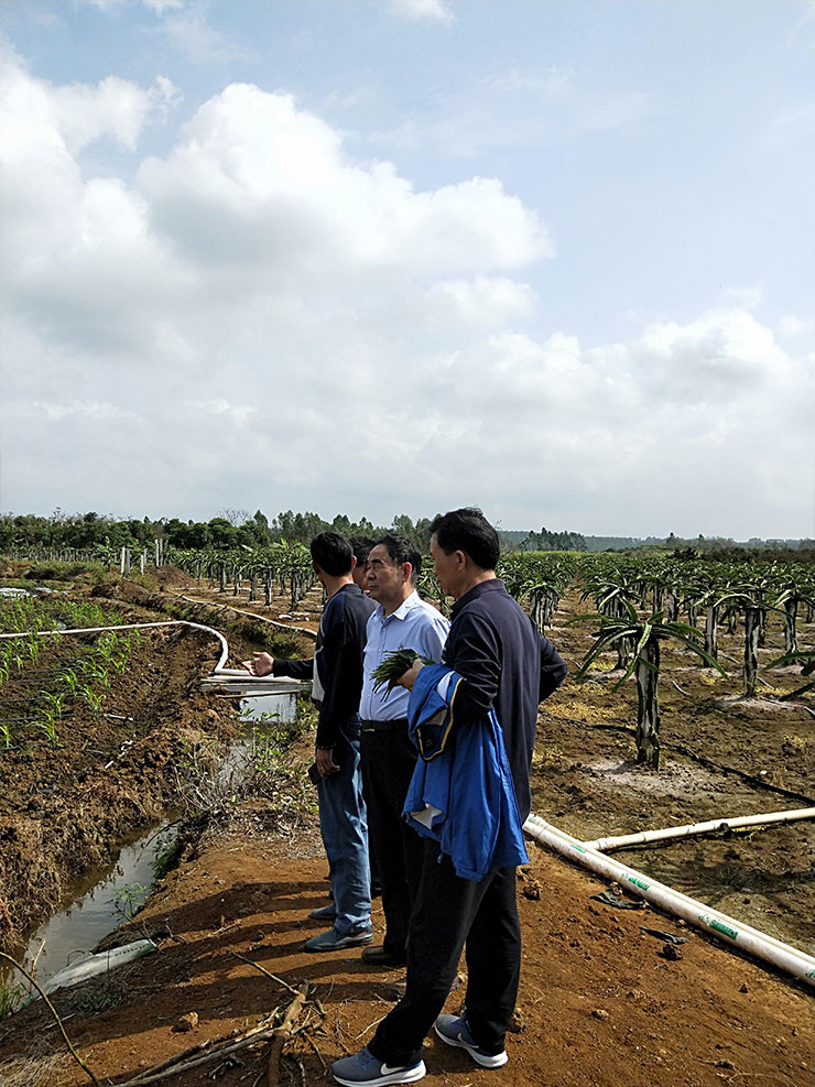 manbet官网-相信品牌力量