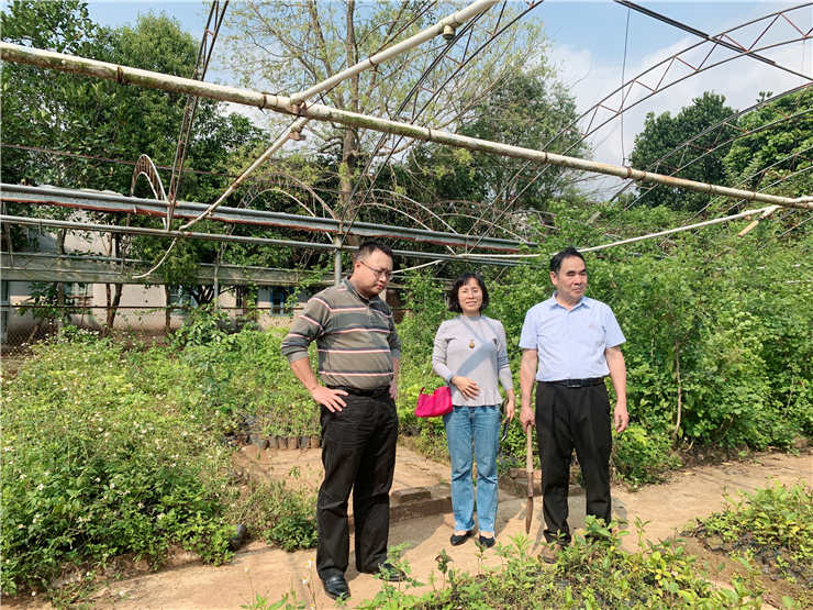 manbet官网-相信品牌力量