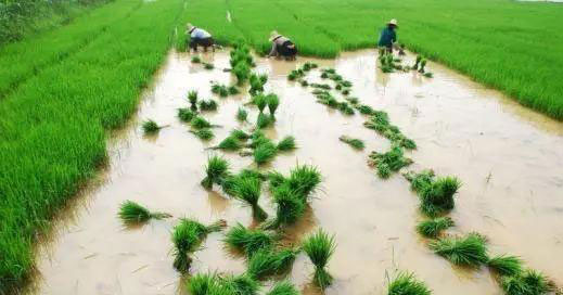 manbet官网-相信品牌力量