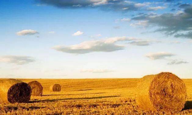 manbet官网-相信品牌力量