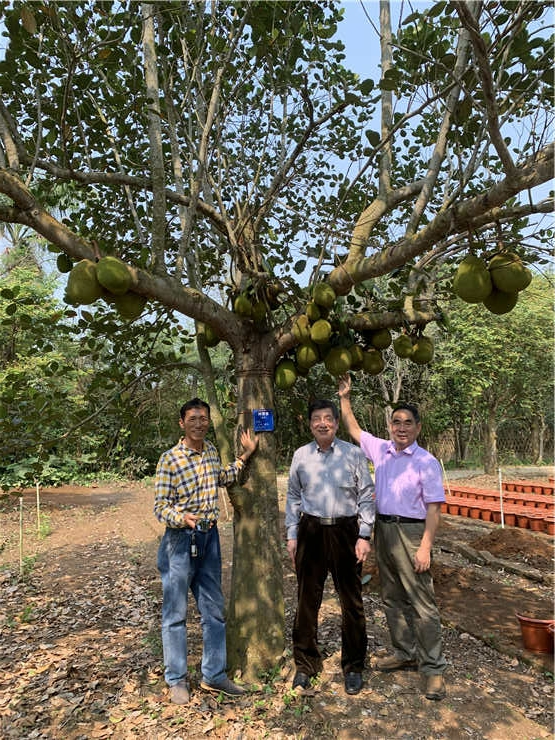 manbet官网-相信品牌力量