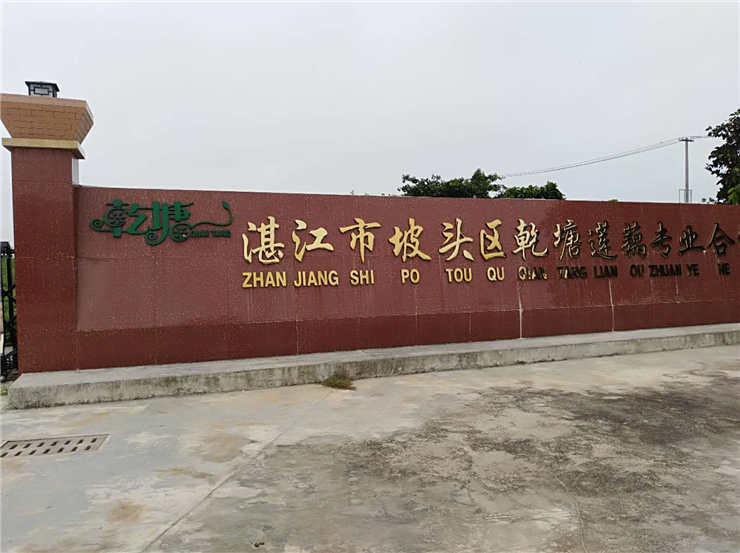 manbet官网-相信品牌力量