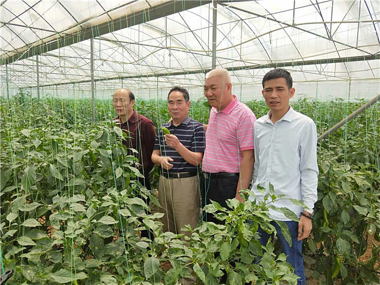 manbet官网-相信品牌力量