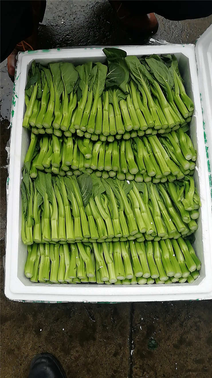 manbet官网-相信品牌力量