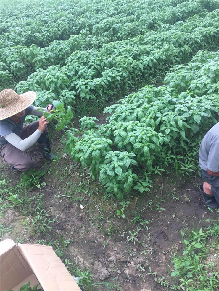 manbet官网-相信品牌力量