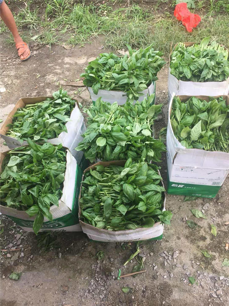 manbet官网-相信品牌力量