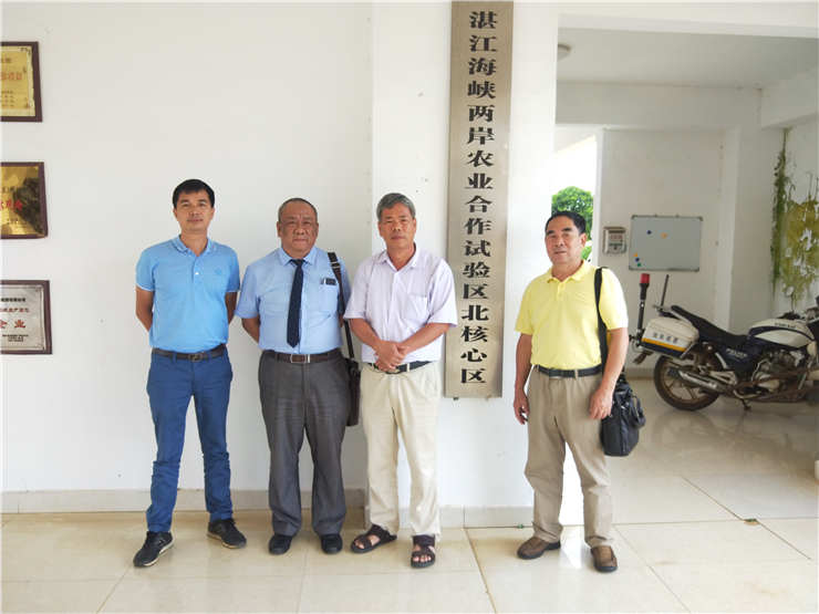 manbet官网-相信品牌力量