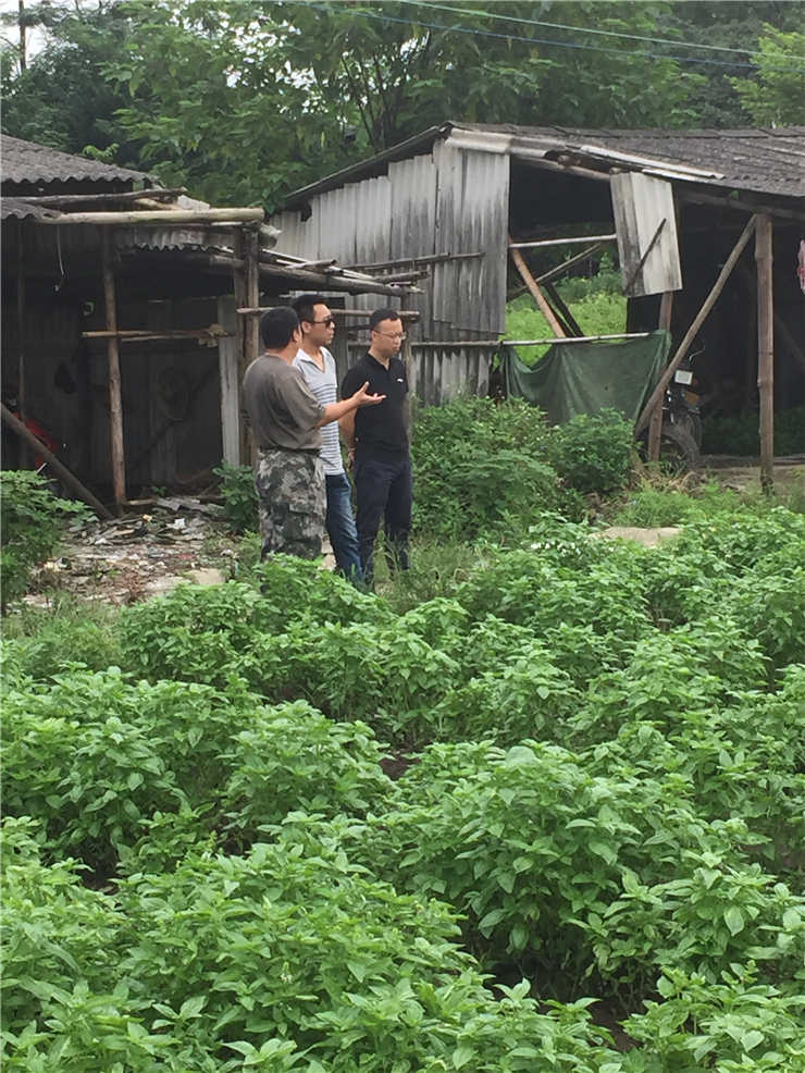 manbet官网-相信品牌力量