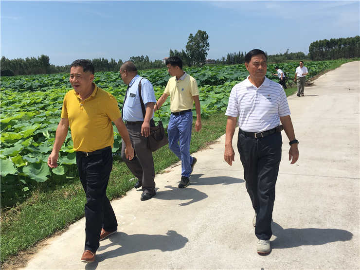 manbet官网-相信品牌力量