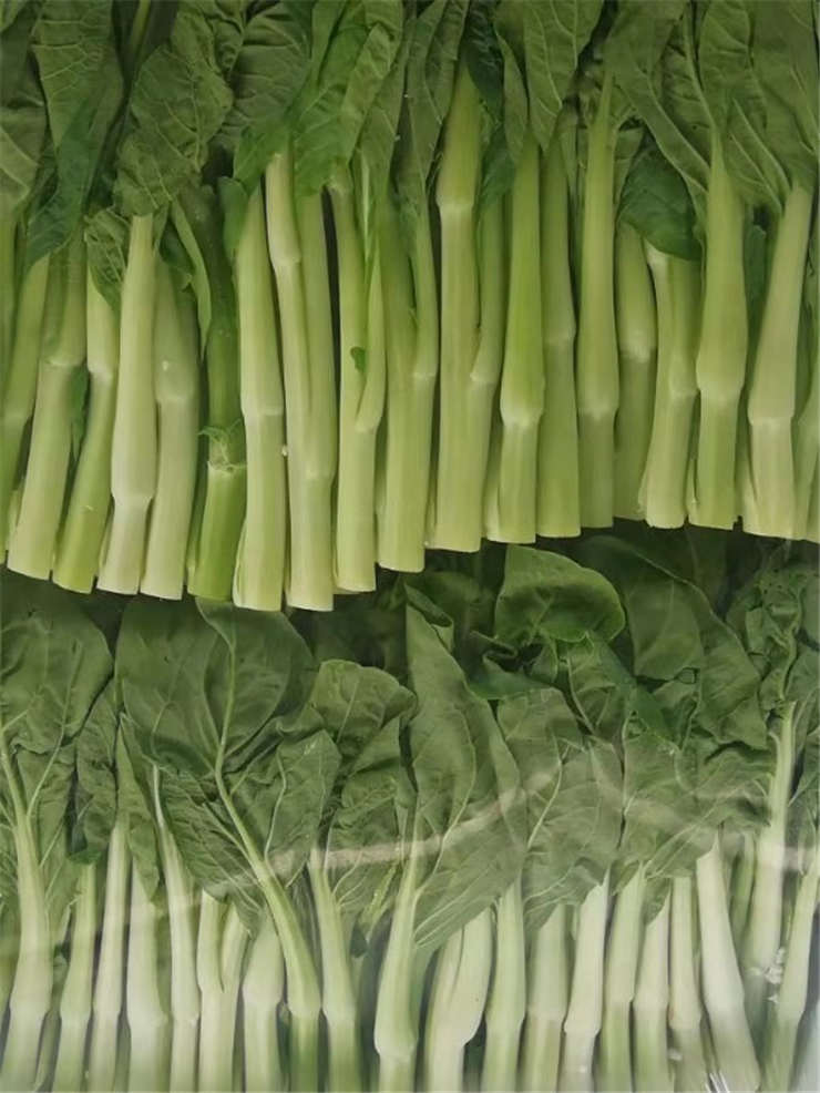 manbet官网-相信品牌力量