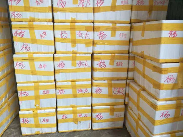 manbet官网-相信品牌力量