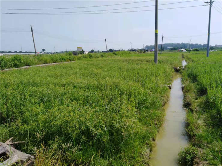 manbet官网-相信品牌力量