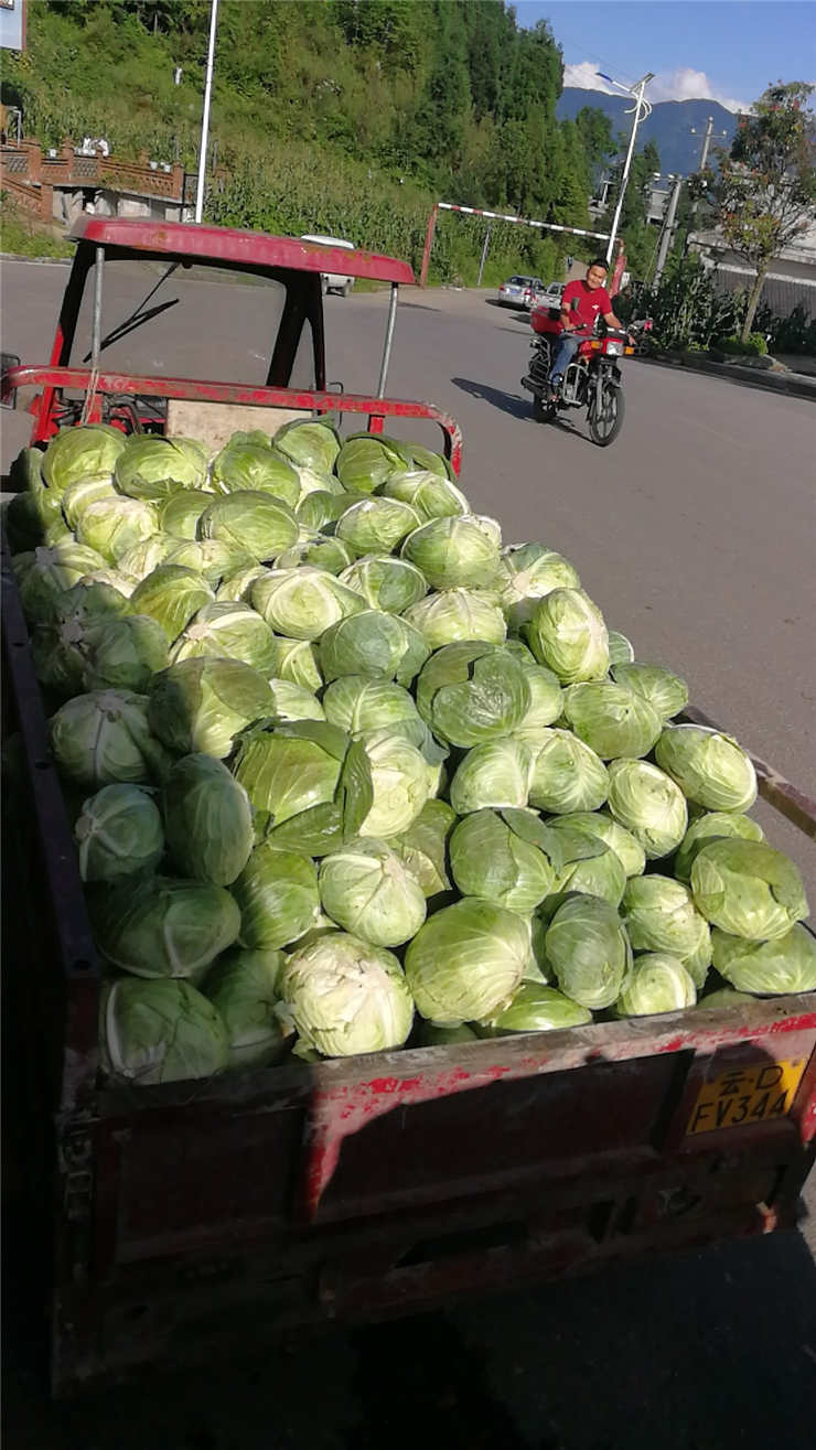 manbet官网-相信品牌力量