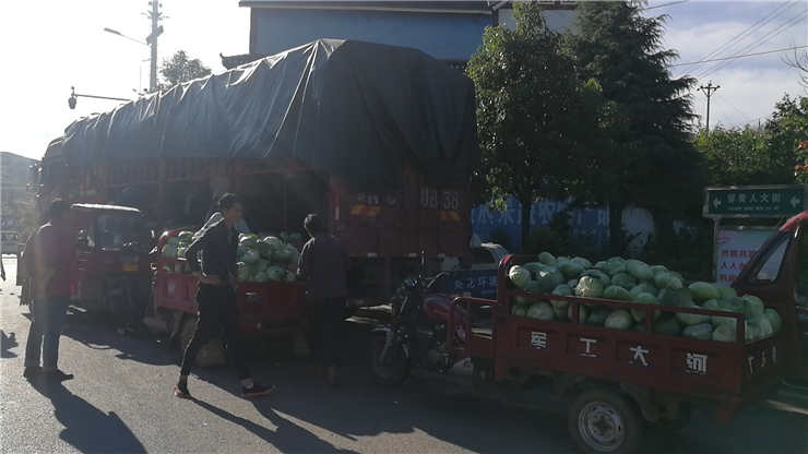 manbet官网-相信品牌力量