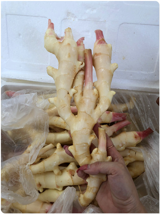 manbet官网-相信品牌力量