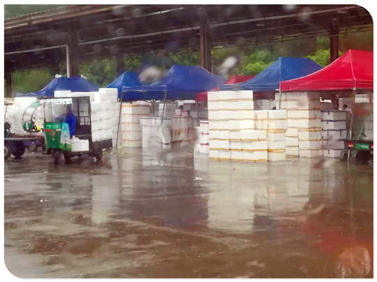 manbet官网-相信品牌力量