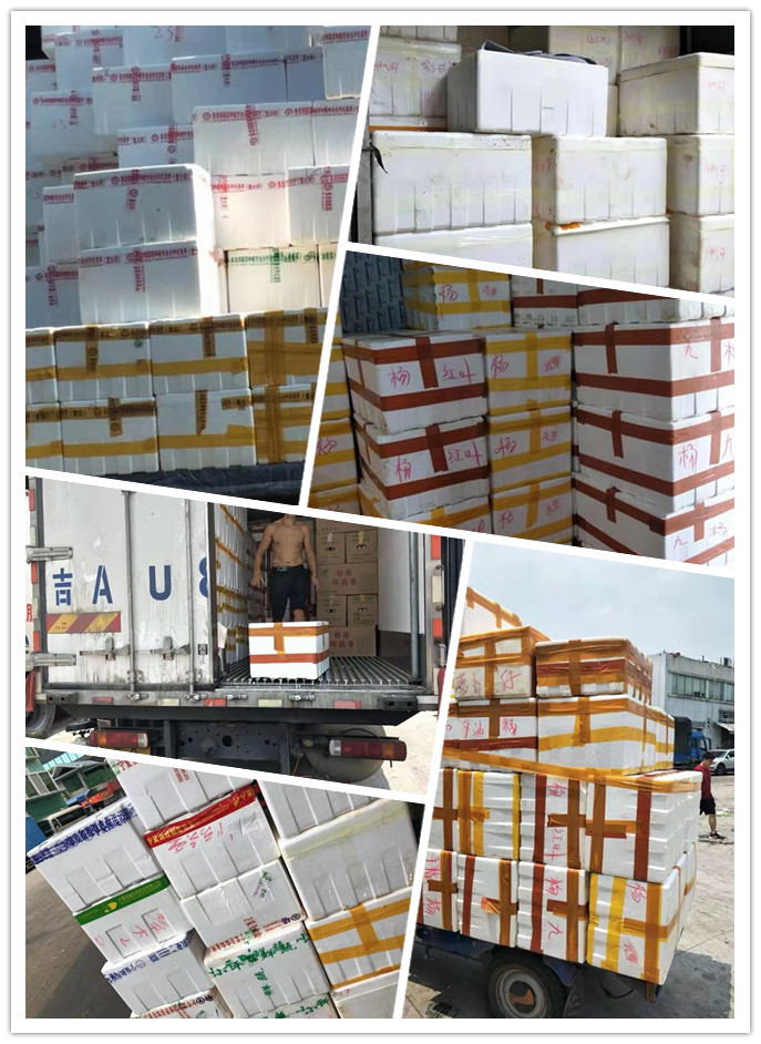 manbet官网-相信品牌力量