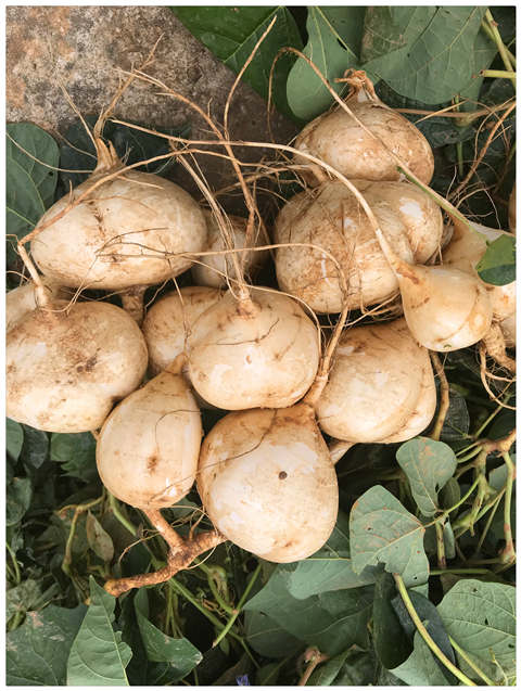 manbet官网-相信品牌力量