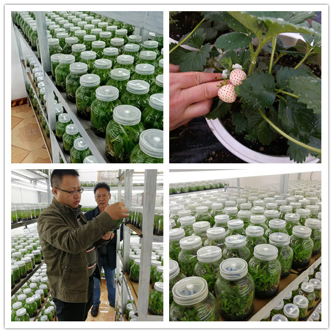 manbet官网-相信品牌力量