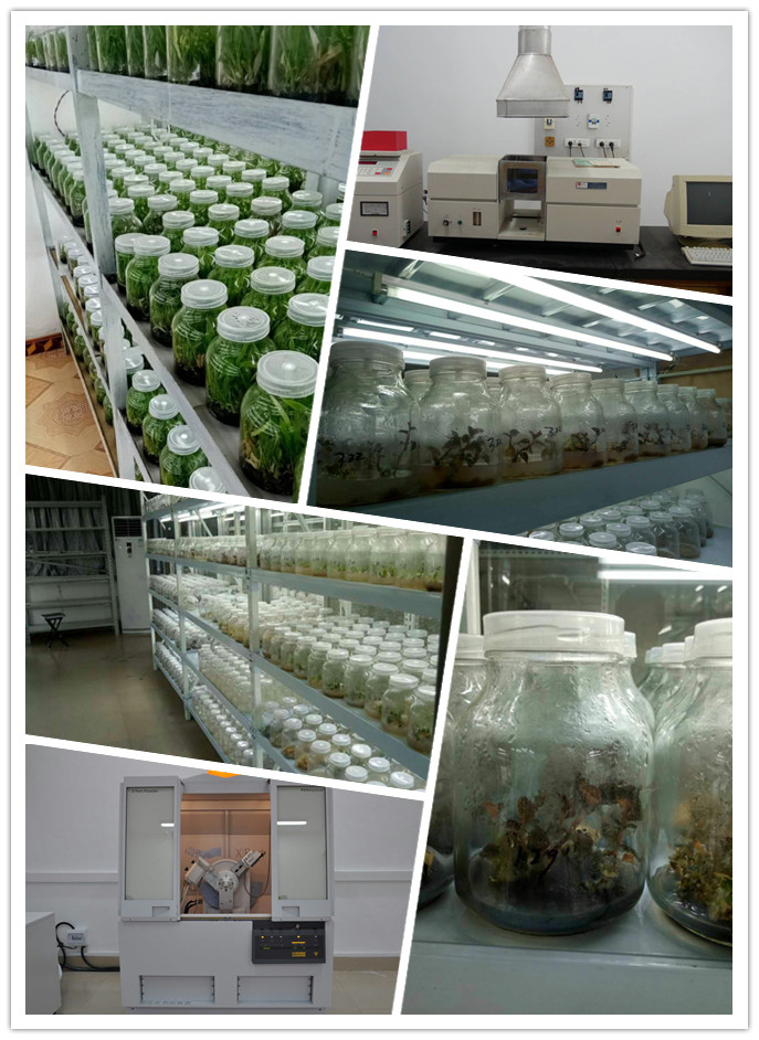 manbet官网-相信品牌力量