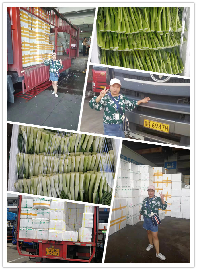 manbet官网-相信品牌力量