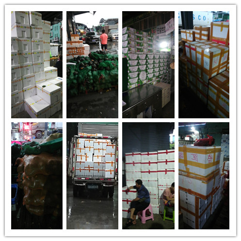 manbet官网-相信品牌力量