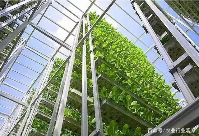 manbet官网-相信品牌力量