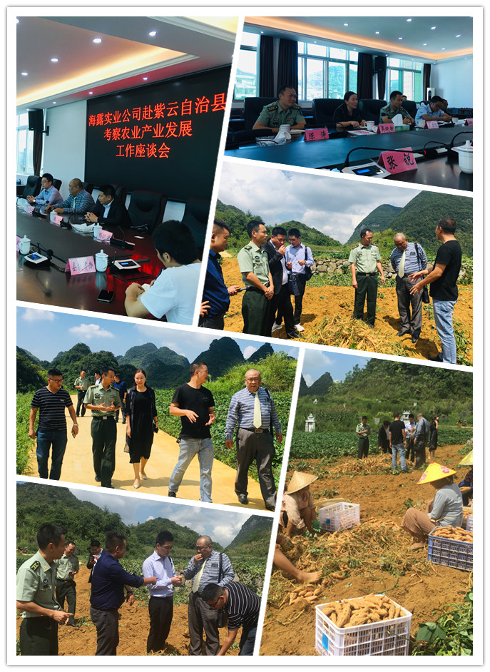 manbet官网-相信品牌力量