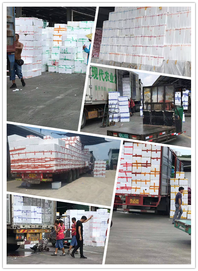 manbet官网-相信品牌力量