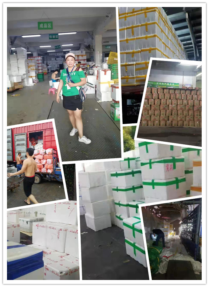 manbet官网-相信品牌力量