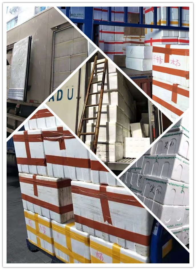 manbet官网-相信品牌力量