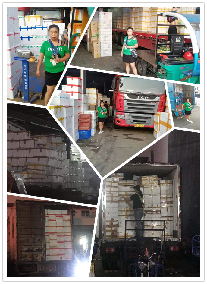 manbet官网-相信品牌力量